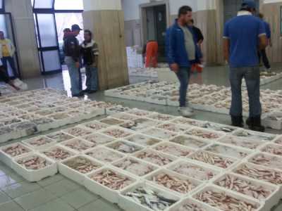 La merce viene sistemata sul pavimento del mercato prima dell'inizio dell'asta