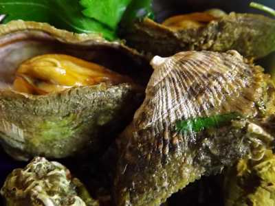 Il muscio � un mollusco bivalve dal sapore delicato il cui vero nome � Arca di No� 