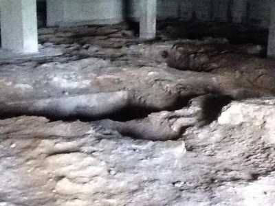 La necropoli della Calamandrei