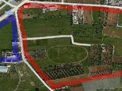 Il mistero del tesoro archeologico di Valenzano
