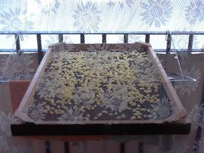 Bari vecchia, le orecchiette fatte in casa