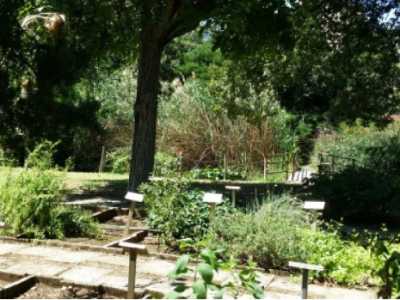Museo ortobotanico: piante officinali e stagnetto