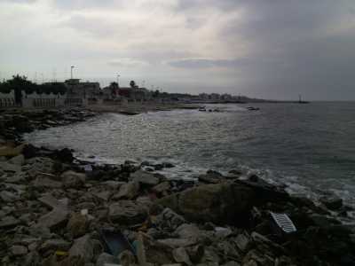 I rifiuti che deturpano la spiaggia di fronte all'ostello