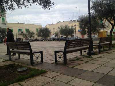 Le panchine di piazza Paradiso. Sopravviveranno al capodanno 2014?