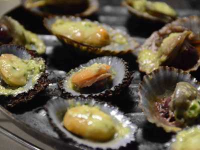 La patella, genere di mollusco gasteropodo che si fissa sul substrato roccioso cos� saldamente che per staccarlo bisogna usare un coltello