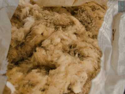 La peculiarit� della lana della pecora altamurana �  quella di essere piuttosto grossolana: una lana povera e che pizzica, non adatta quindi per i tessuti. Infatti � sempre stata utilizzata in passato per l�imbottitura dei materassi