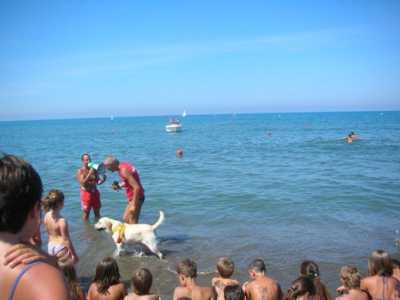 Due bagnini in spiaggia con un cane da salvataggio 