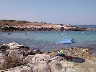 Freak Beach, tra Cozze e Polignano