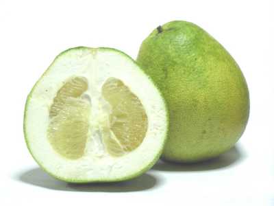 Il pomelo, un agrume non pi� molto diffuso, di grosse dimensioni, leggermente pi� dolce ma simile nel gusto al pompelmo