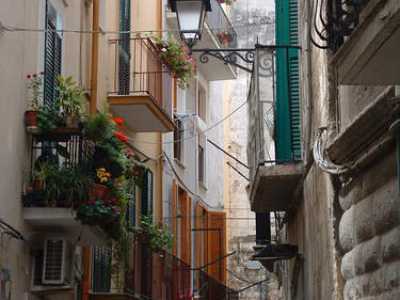 Barivecchia