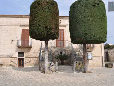 Davanti ai nostri occhi si presenta la chiesa in pietra viva, con due scalinate a tenaglia con ringhiere metalliche che portano al piano superiore, nascoste in parte da due alti arbusti potati di recente