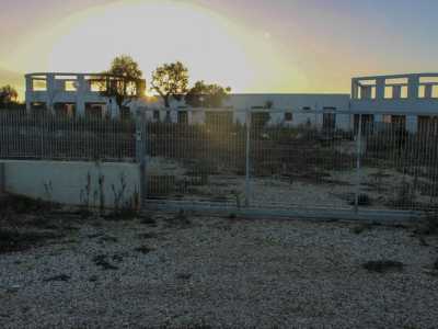 L'ingresso del Dog House, il parco canile di Sannicandro di Bari, situato sulla strada provinciale per Acquaviva delle Fonti