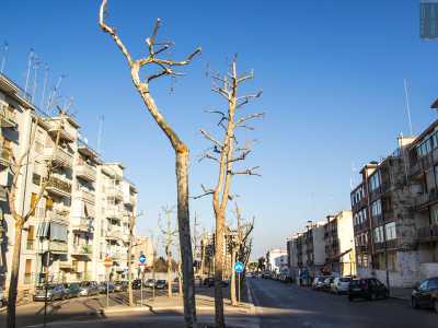 La parte vecchia del rione si apre alla sinistra della strada e il modo pi� facile per attraversarla � imboccare viale delle Regioni. �Regioni� perch� tutte le strade che si dipanano da questa arteria sono intitolate (anonimamente) a regioni e citt� italiane: da via Molise a via Umbria, da via Perugia a via Vicenza