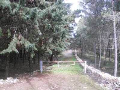 Il sentiero segna il punto di confine tra il bosco di Bellamia (sulla sinistra) e quello di Mesola (sulla destra)