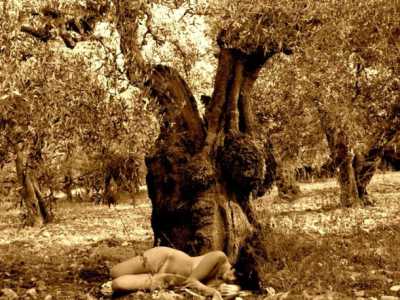 Alcuni scatti della fotografa Eliana Dabbicco