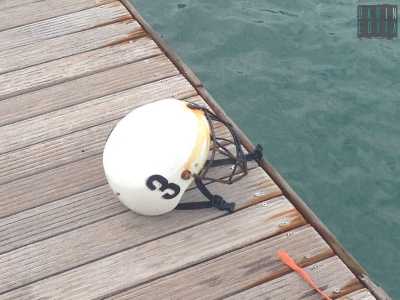 Un casco munito di griglia protegge gli atleti da possibili traumi alla testa