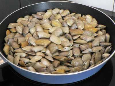 La tellina � un piccolo mollusco bivalve di forma triangolare 