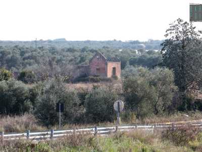 La chiesa � immersa nella vegetazione, circondata da ulivi e mandorli e conserva nonostante l�abbandono una certa grazia