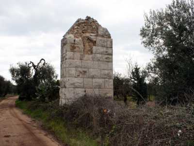 Il titolo Lacu Babutte tra Bitetto, Palo del Colle e Bitonto 