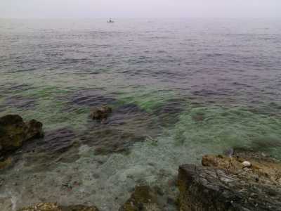 L'acqua limpida e dal colore verde tipica del Vugghio 