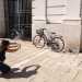 Fotografia di una bici iscritta all'anagrafe