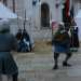 Due sfidanti pronti per il combattimento 