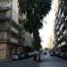 Una foto scattata da viale Salandra con l'eucalipto in primo piano