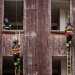 Li vediamo arrampicarsi uno alla volta come tanti "Spiderman" su un edificio usato appositamente per gli allenamenti