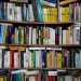 Ad attorniarli vi  uno scaffale pieno zeppo di libri di ogni genere: religione, matematica, letteratura, favole. Costano tutti 1 euro, una fesseria  ci dice  .  uno dei prodotti che la gente acquista di pi. Li comprano per rifarsi la libreria