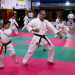 Lo troviamo tra i suoi allievi sul tatami: con le gambe  in posizione zenkutsu dachi, ovvero con il peso su quella anteriore piegata e larto posteriore dritto, mentre le braccia sono in gedan barai (parata bassa)