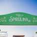 Appena arrivati ci troviamo davanti a una grande insegna che ci indica di essere giunti nel Parco della spirulina