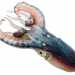 Allinizio di gennaio ha destato scalpore lavvistamento nelle acque di Torre Canne di una particolare specie di cefalopode, il Tremoctopus violaceus: una sorta di incrocio tra il polpo e la seppia. Un animale difficilissimo da incontrare perch di solito vive a oltre 300 metri di profondit (immagine di Comingio Merculiano in Jatta Giuseppe)
