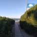 ...e da una fitta vegetazione: cespugli di salicornia e di sparto pungente, gramigna o santolina