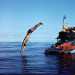 Un tuffo nell'Oceano per passare il tempo... 