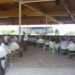 L'assemblea sotto il gazebo