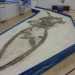 Il fossile fu installato nell'attuale museo nel 1994