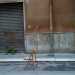 In via Baracca, quartiere Carrassi