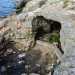 Rifiuti davanti all'ingresso della grotta di Cala Scizzo