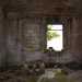 Interno del capannone dormitorio dell'ex campo di prigionia della seconda guerra mondiale presso Altamura, oggi.