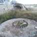 grotta 1, base per collocare le armi difensive