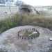 grotta 2, base per le armi difensive