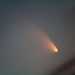 La cometa Panstarr, scoperta nel 2011 alle Hawaii
