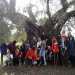 Nordic Walking,allenarsi immergendosi nella natura