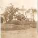 Il nipote di Maiorano, Giuseppe, ci mostra una foto datata 1924 in cui si vede una grossa croce monumentale ergersi tra alcune alcune piante di medio fusto: si tratta prorio della tomba di suo zio, quella che oggi risulta irrintracciabile