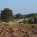 La particella di terra, di propriet del Comune di Rutigliano, che sta bloccando i lavori per il depuratore che porter le acque reflue di Casamassima in Lama San Giorgio a Rutigliano