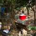 Giardino tra virgolette perch se  vero che labitazione  circondata da piante e alberi qui a dominare sono i rifiuti e mille oggetti tra i pi disparati rinvenuti in varie discariche