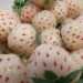 Il pineberry, ibrido tra ananas e fragola