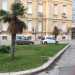 Due alberi in difficolt in un'aiuola del Policlinico