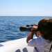 Un piccolo turista a bordo del catamarano Taras che osserva con un cannocchiale un delfino 