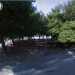 Gli alberi presenti, prima dei lavori (google maps)